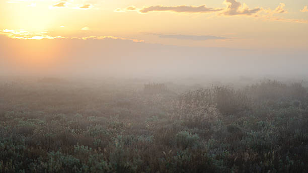 Sunset landscape, Outback Australia, Sunset landscape, Outback Australia, thorn bush stock pictures, royalty-free photos & images