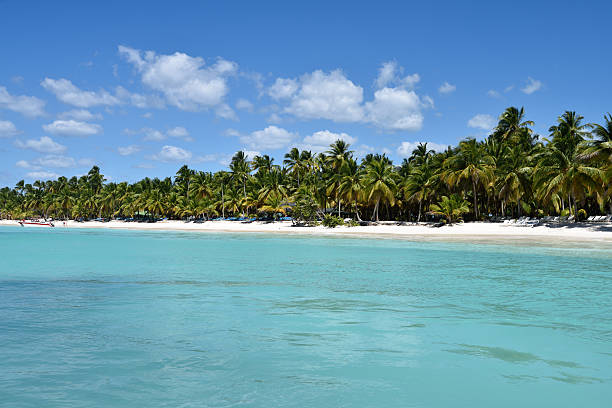 istock Dominican Republic, Saona Island 612847306