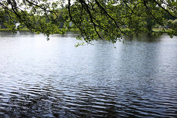 early autumn on the lake, trees and reflections