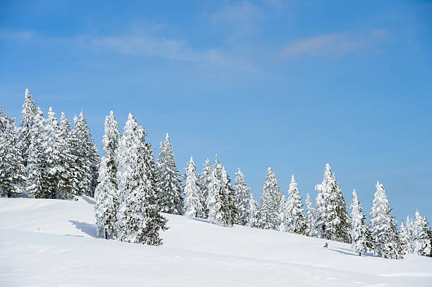 istock Winter Day In The Mountains 612851392