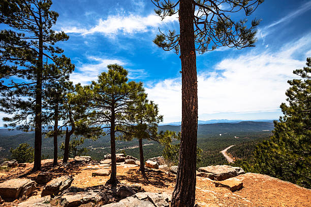 Mogollon Rim.