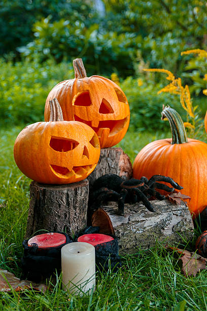 istock Halloween.  Jack-o-Lantern. scary pumpkin 612854322