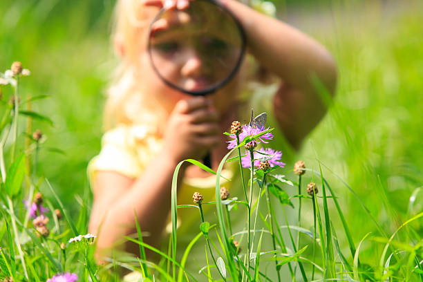 istock Little girl examining batterfies on flower using magnifying glass 612855248