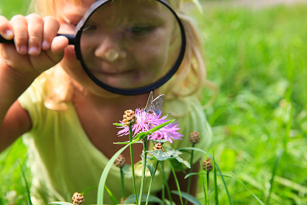 istock Little girl examining batterfies on flower using magnifying glass 612856020