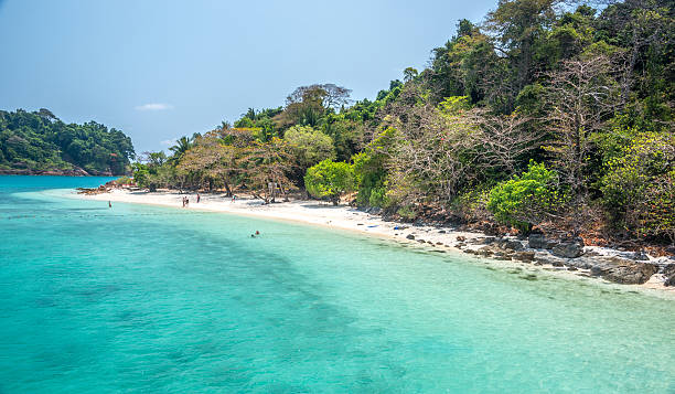 istock white beach of the Koh Rang Isle 612856774