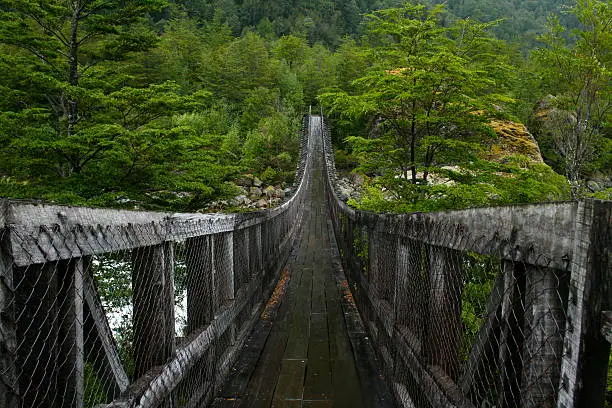 A suspension bridge in the middle of the Queulat National Park in the south of Chile