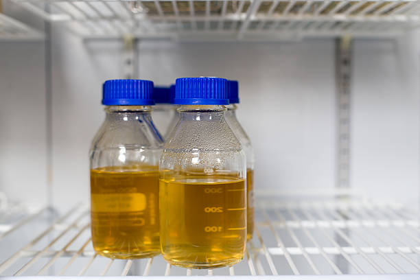 inóculo en tubo remojo en el refrigerador - instrument of measurement fuel and power generation chemist chemistry fotografías e imágenes de stock