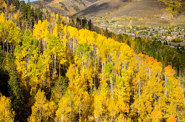istock Vail, Colorado in the Rocky Mountains 612861160