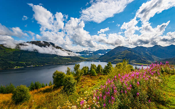 poranny widok na loch duich - landscape uk scotland scenics zdjęcia i obrazy z banku zdjęć