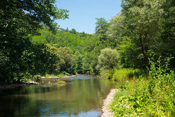istock Mountain river landscape rocks, stones Jerme canyon 613012132