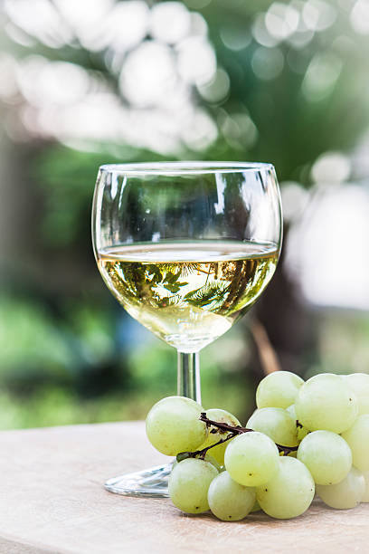 istock Italian white wine with grapefruit 613015142