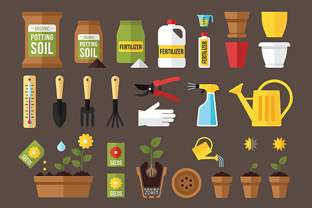 Indoor gardening Vector set of indoor gardening icons: gardening tools, packages of soil, fertilizers, seeds, flowerpots, planting and growing process, care instruction symbols. Flat style. pruning shears stock illustrations
