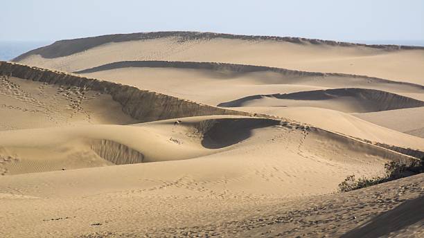 istock The dunes of Maspalomas, Gran Canaria - Spain 613018030
