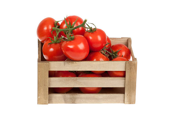 istock fresh tomatoes in a wooden crate isolate on white background 613022430