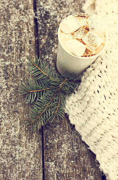 istock Cup of warm cocoa with marshmallows 613023468