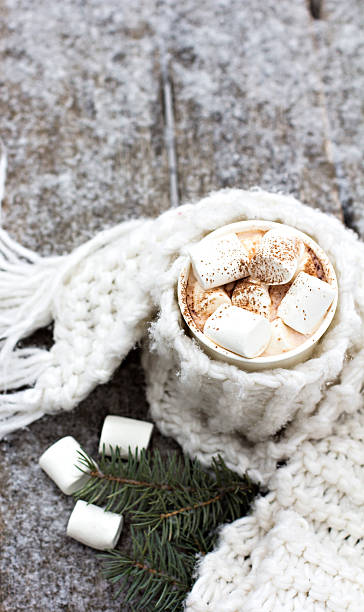 istock Cup of warm cocoa with marshmallows 613024084