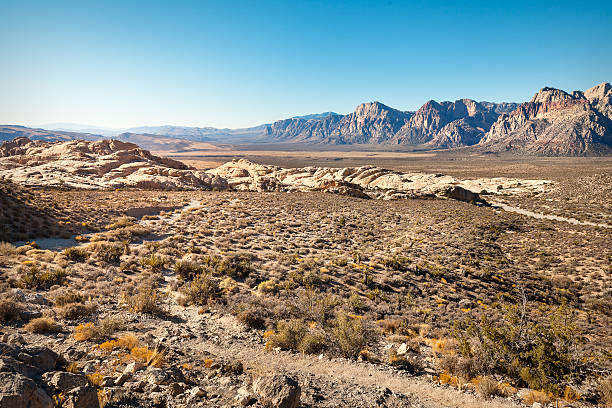 istock Desert in southern Nevada, USA 613025656
