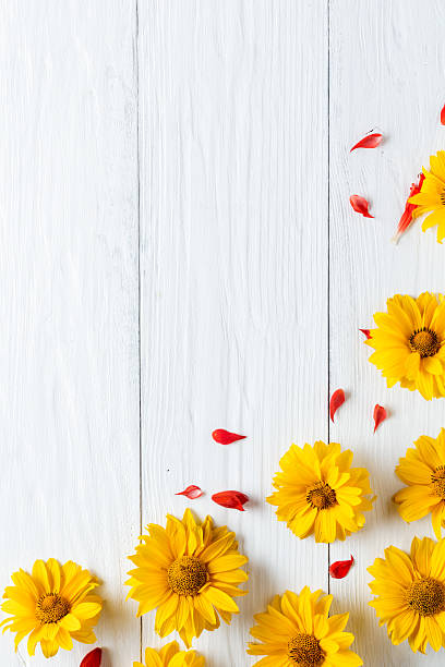 istock frame of flowers, background white board 613028404