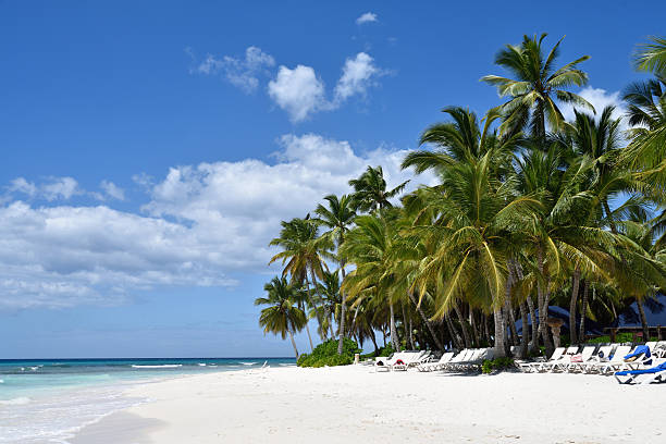 istock Dominican Republic, Saona Island 613029246