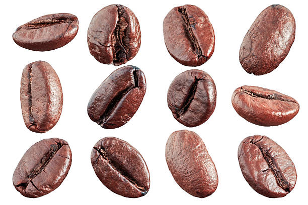 coffee stock photo