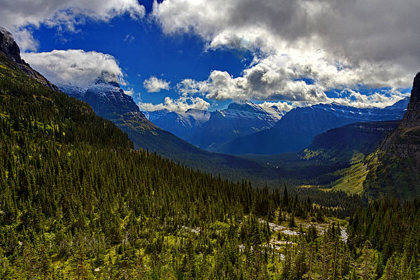 istock Glacier National Park at Lunch Creek 613030970
