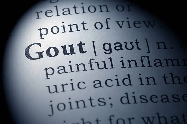 Fake Dictionary, Dictionary definition of the word gout.