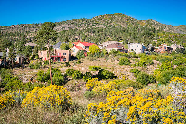 Large Homes in Los Alamos New Mexico USA Photo of a residential neighborhood with large houses in Los Alamos, New Mexico, USA, on a clear blue sky day. los alamos new mexico stock pictures, royalty-free photos & images