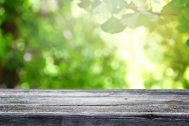 istock Wooden desk and blur green forest background. 613034736