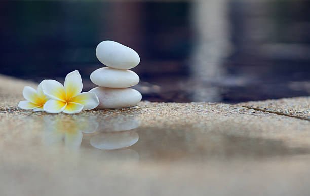istock Plumeria flower and stones 613036538