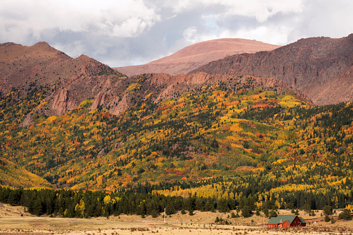 Autumn colors in Pike National Forest near Pike's Peak and Cripple Creek in Colorado