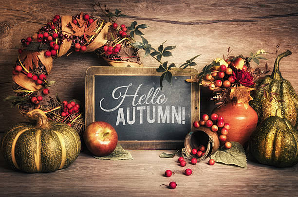 istock Autumn decorations on wood and chalkboard, text space 613038612