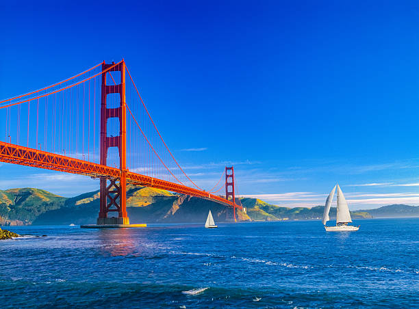 Golden Gate bridge and San Francisco Bay, CA (P) Golden Gate bridge with chain fencing and San Francisco Bay, CA golden gate bridge stock pictures, royalty-free photos & images