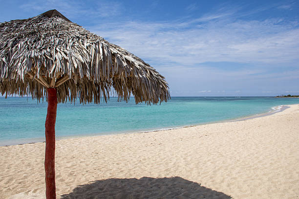istock Hut in paradisiac Caribbean white-sand beach 613039228