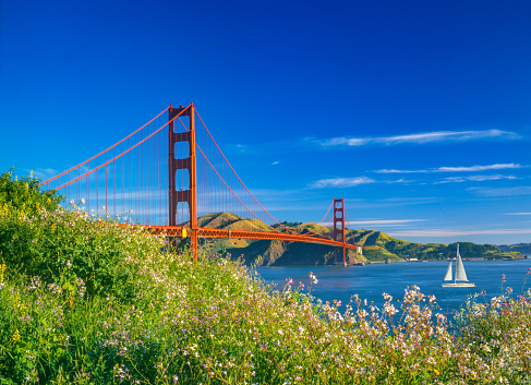 Golden Gate bridge with spring flowers and recreational boat, CA