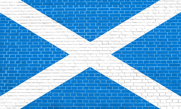 istock Flag of Scotland on brick wall texture background 613044560