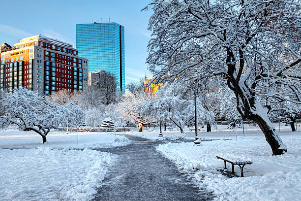 istock Snow covered Boston Public Garden 613044612