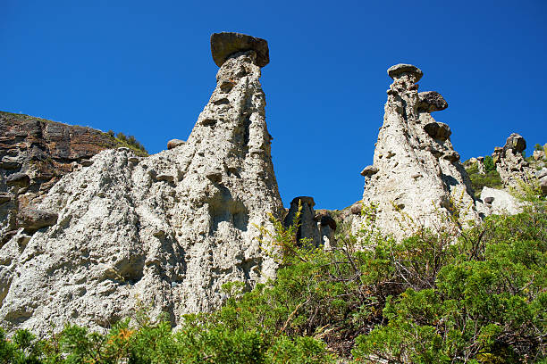 istock Nature phenomenon and nature miracle Stone Mushrooms 613045516
