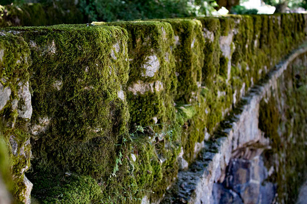 istock Sintra in United Kingdom 613046590