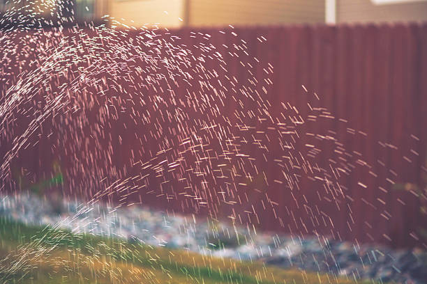 Sprinkler head watering grass and flowers