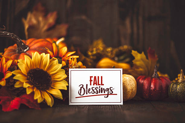 istock Thanksgiving still life background with pumpkins, acorns and message 613049284