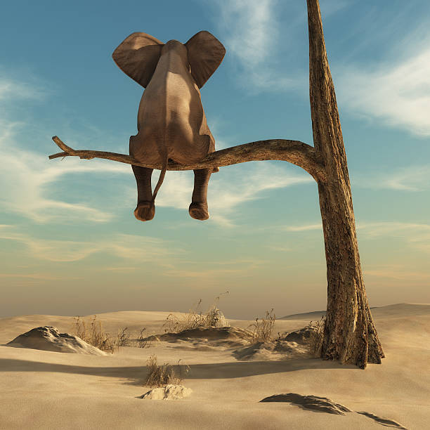 Elefante em pé sobre um galho fino de árvore murcha. Elefante em pé sobre um galho fino de árvore murcha em uma paisagem surreal. Esta é uma ilustração em renderização 3D. Fotos de animais estranhos, fotos e imagens livres de direitos autorais.