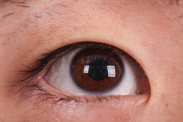 istock Eye of a Asian man 613051586