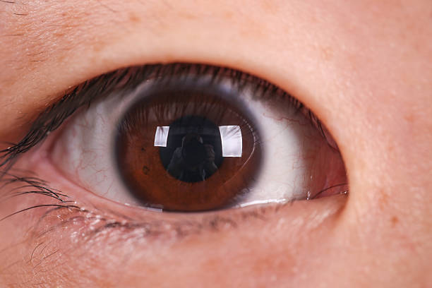 istock Eye of a Asian man 613051696