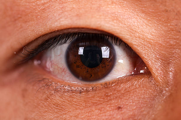 istock Eye of a Asian man 613051874