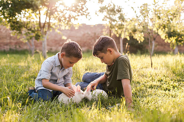 Rabbits and cute boys stock photo