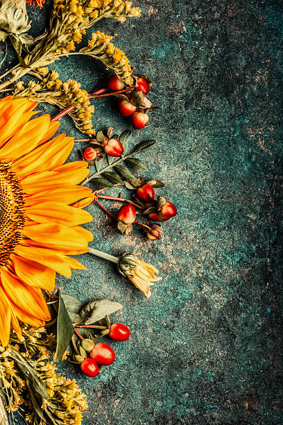 istock Autumn flowers setting with sunflowers , top view 613058628