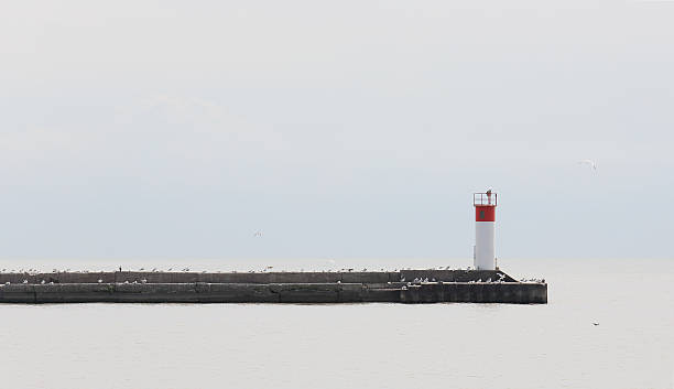 istock Pier with gulls jutting into a quiet Lake Erie 613100396