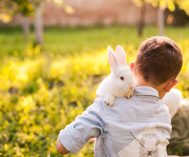 istock Boy embracing his rabbit in the park 613101362