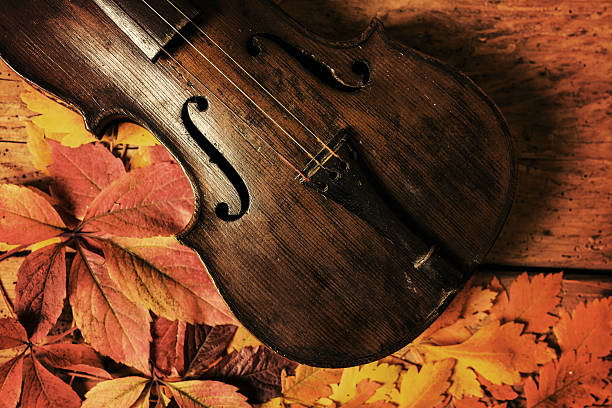 istock Old violin and autumn leaves over an old rustic table 613101498