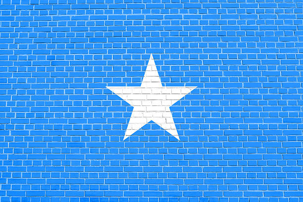 Somali national official flag. African patriotic symbol, banner, element, background. Flag of Somalia on brick wall texture background